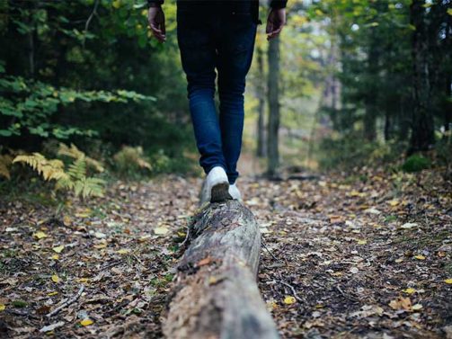 Person balancing on a fallen tree in a peaceful forest